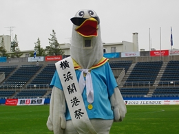 IMGP0932_R