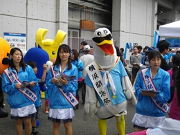 IMGP0955_R