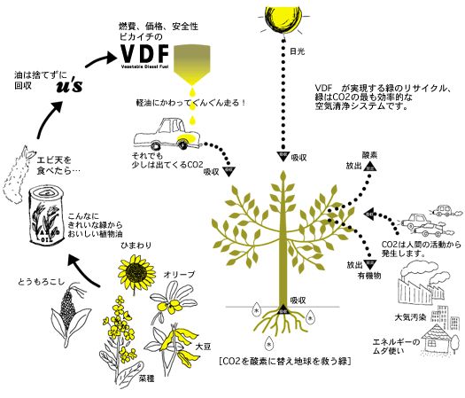 VDF